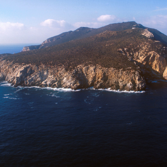Isola di Zannone nel Parco Nazionale del Circeo, arcipelago delle isole pontine
